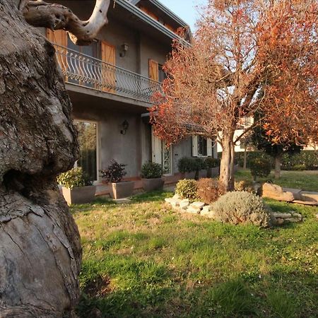 Magnolia Otel Savignano sul Rubicone Dış mekan fotoğraf