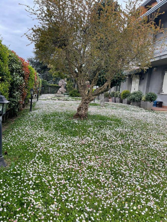 Magnolia Otel Savignano sul Rubicone Dış mekan fotoğraf